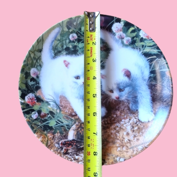 1987 White Kittens Collectors Plate 'A Chance Meeting' Vintage - Picture 3 of 4